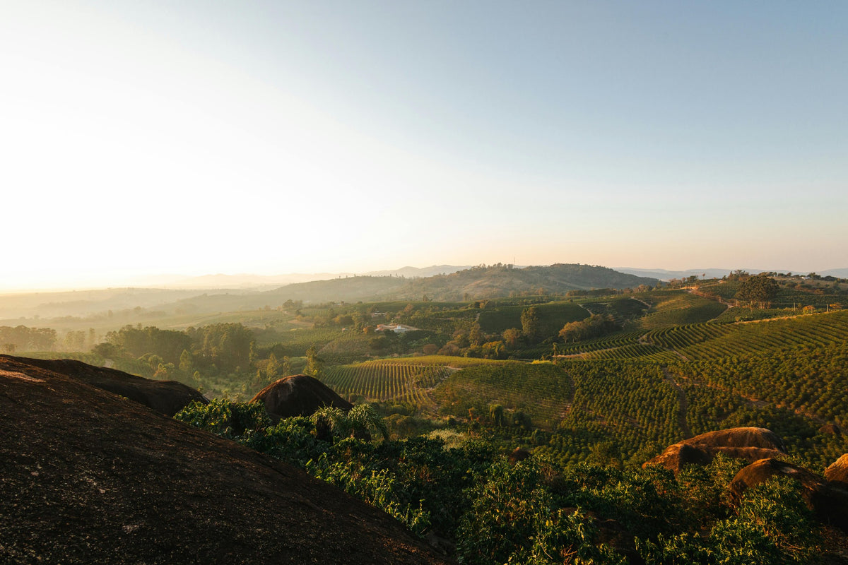 Sunrise over the coffee-growing hills of Brazil